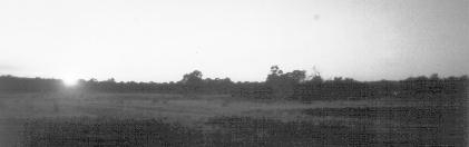 e11